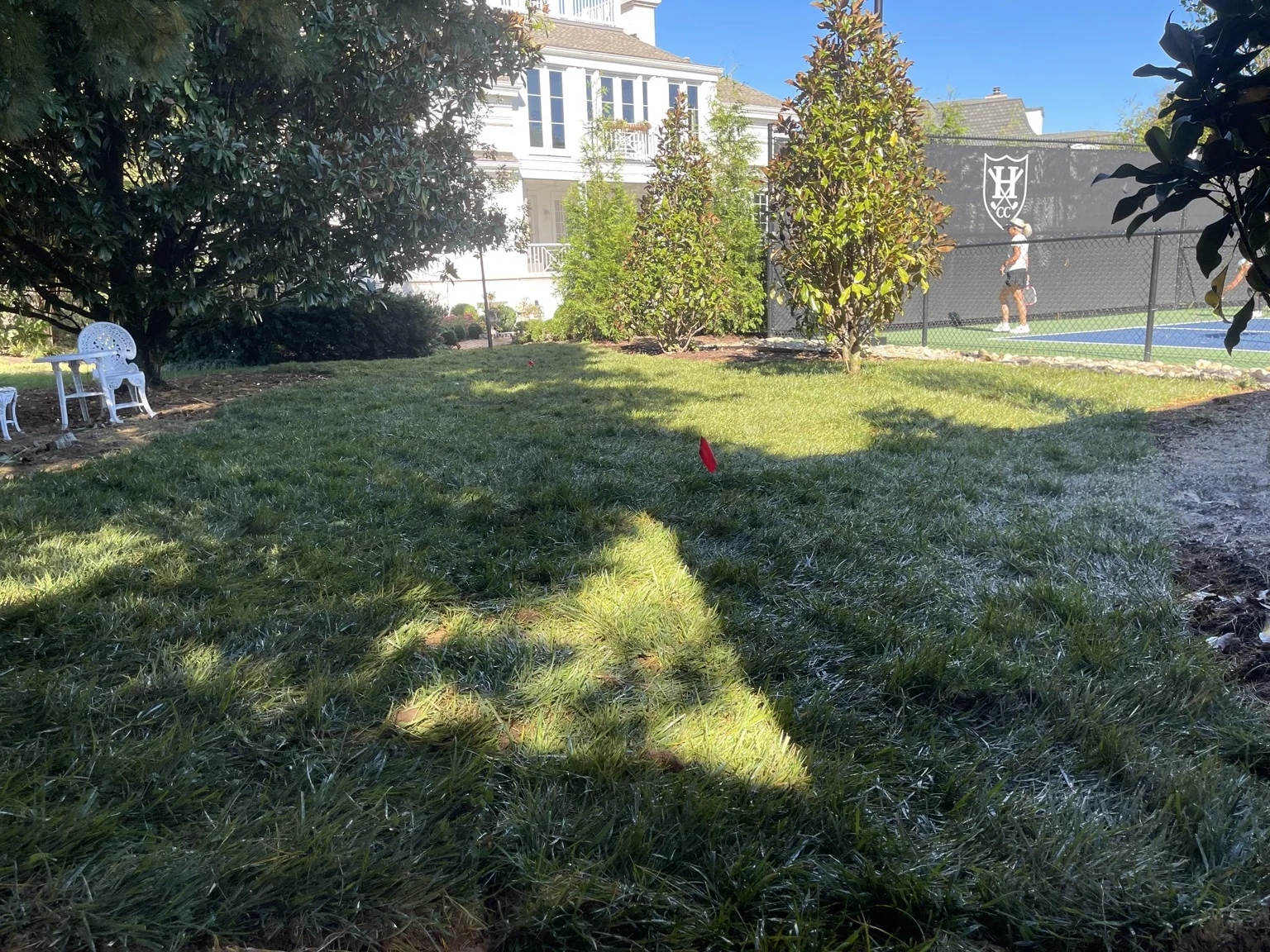 Green lawn after sod installation